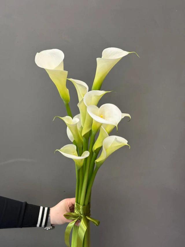 Каллас | ծաղիկներ, ծաղկեպսակներ, բույսեր - առաքում Երևան
