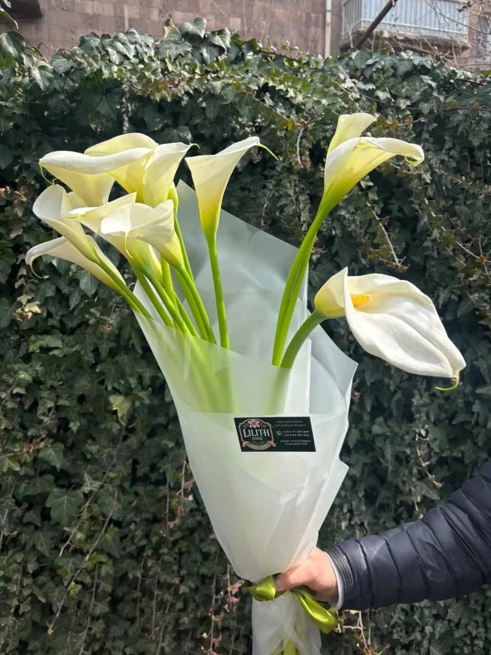 White calla lilies | ծաղիկներ, ծաղկեպսակներ, բույսեր Երևան White calla lilies | ծաղիկներ, ծաղկեպսակներ, բույսեր Երևան