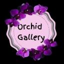 Ծաղկի սրահ Orchid Gallery | ծաղիկներ, ծաղկեպսակներ Ծաղկի սրահ Orchid Gallery | ծաղիկներ, ծաղկեպսակներ